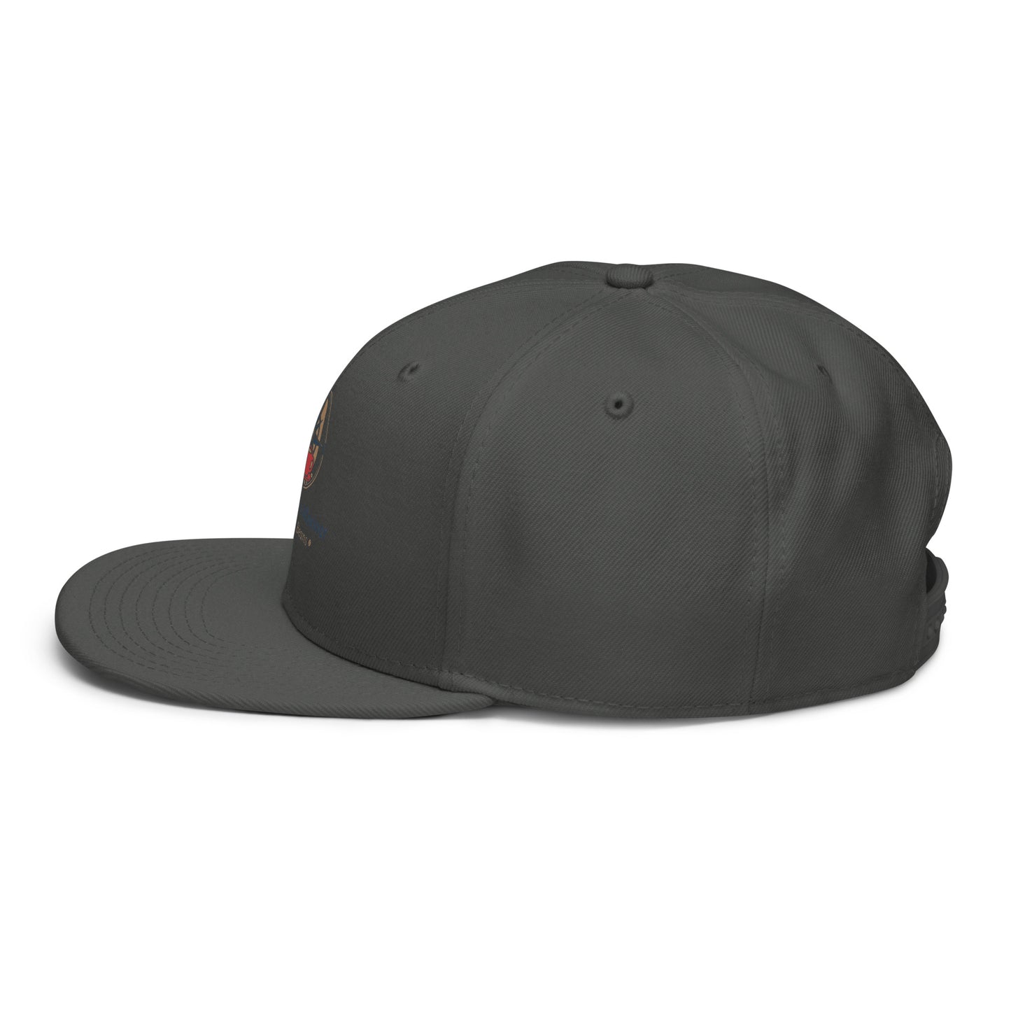Charcoal snapback hat with side graphic accent on the crown