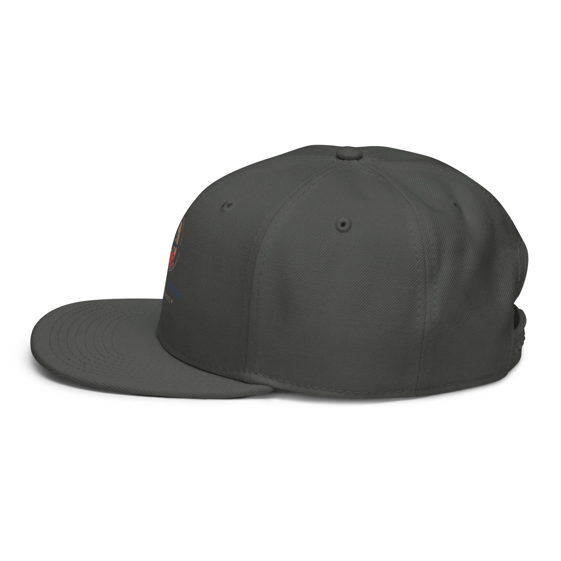 Charcoal snapback hat with side graphic accent on the crown